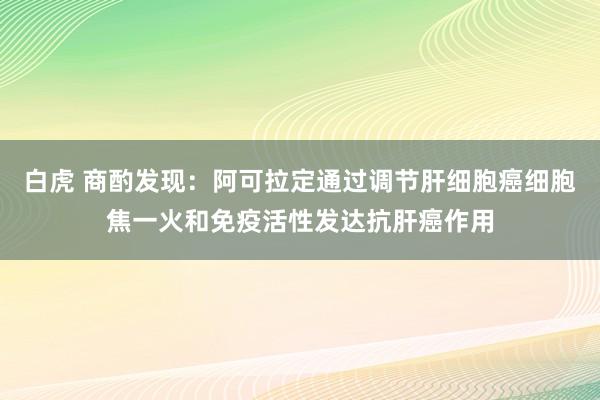 白虎 商酌发现：阿可拉定通过调节肝细胞癌细胞焦一火和免疫活性发达抗肝癌作用