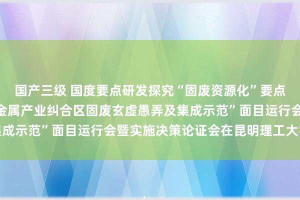 国产三级 国度要点研发探究“固废资源化”要点专项“一带一说念有色金属产业纠合区固废玄虚愚弄及集成示范”面目运行会暨实施决策论证会在昆明理工大学召开